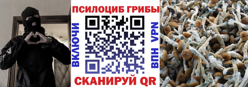 Купить где  Новочебоксарск  Галлюциногенные грибы Psilocybine cubensis 